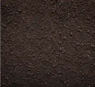 Soil