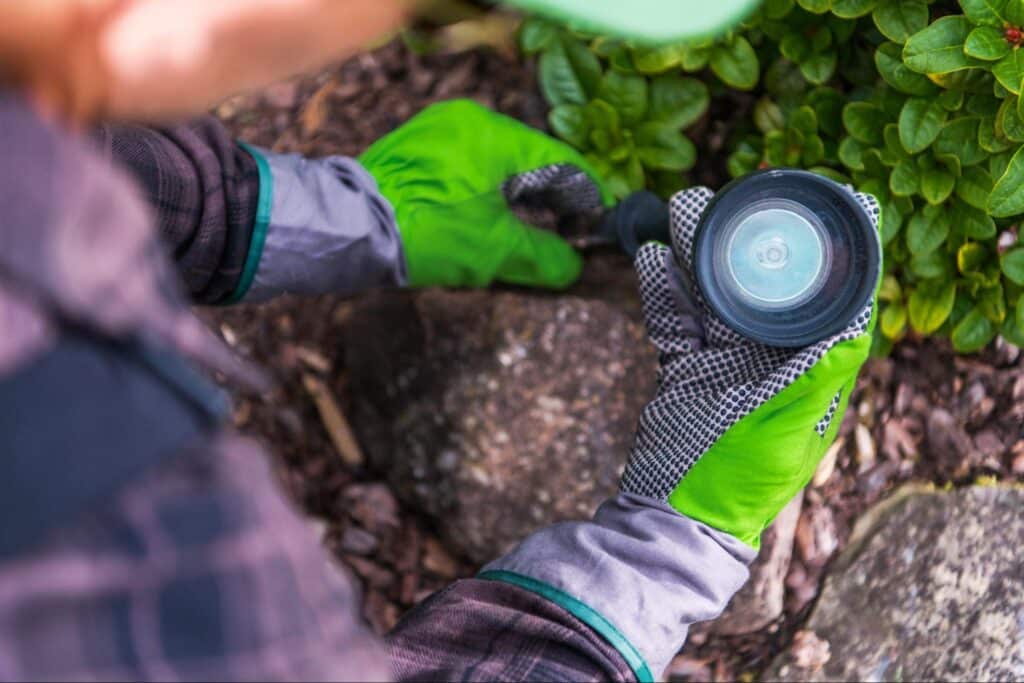 Using a handheld magnifier to explore nature and examine plants closely.